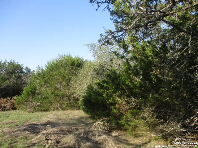 34750 Shelly Bridge Pt Bulverde, TX 78163