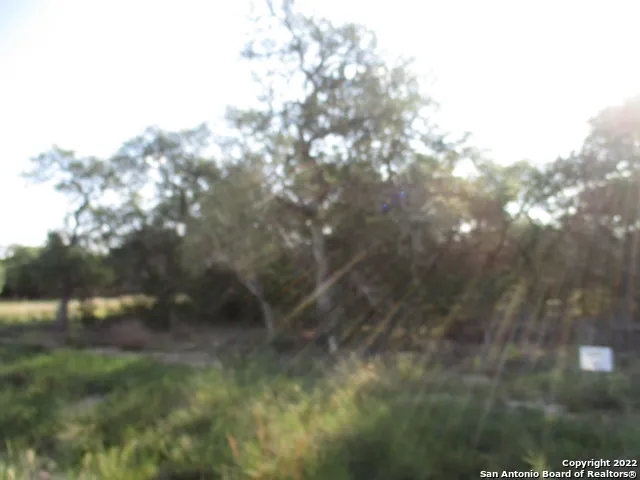 34750 Shelly Bridge Pt Bulverde, TX 78163