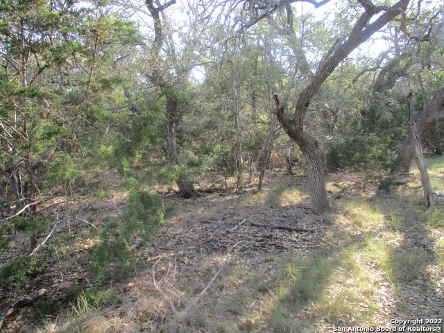 34750 Shelly Bridge Pt Bulverde, TX 78163