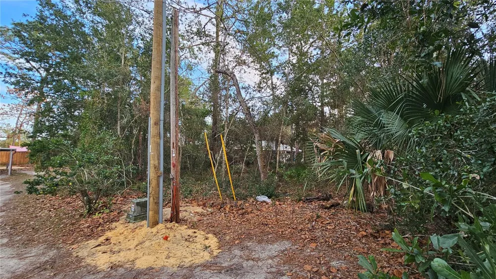 W SEVENTH AVENUE Umatilla, FL 32784
