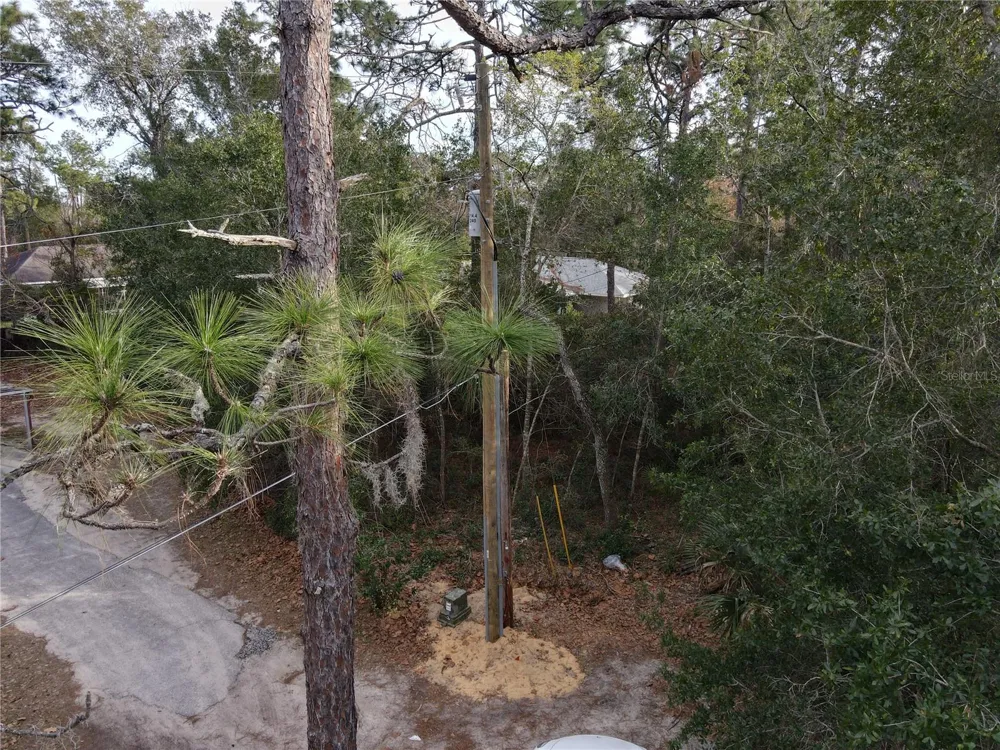 W SEVENTH AVENUE Umatilla, FL 32784