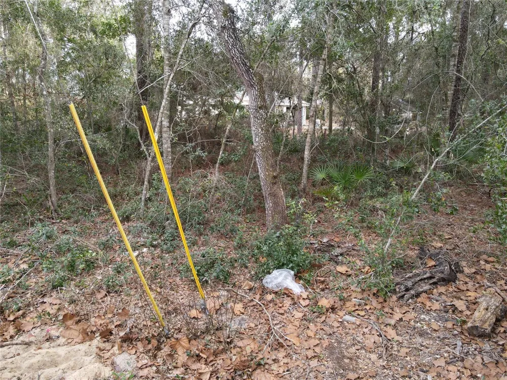 W SEVENTH AVENUE Umatilla, FL 32784