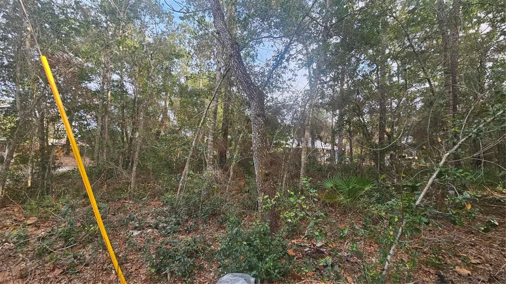 W SEVENTH AVENUE Umatilla, FL 32784