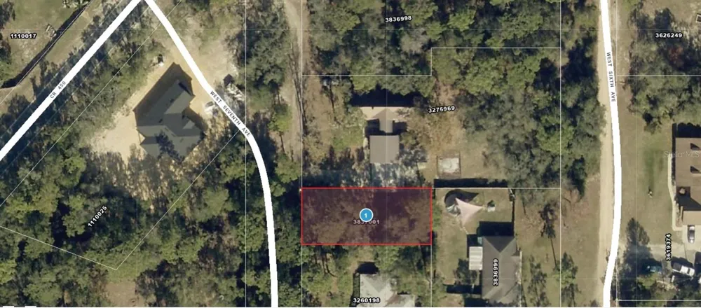 W SEVENTH AVENUE Umatilla, FL 32784