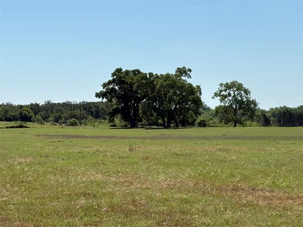 2966 Highway 679 Gorman, TX 76454
