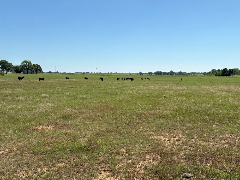 2966 Highway 679 Gorman, TX 76454