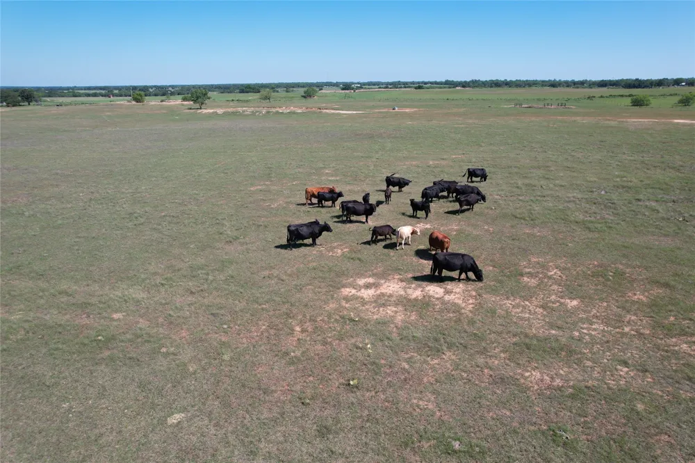 2966 Highway 679 Gorman, TX 76454