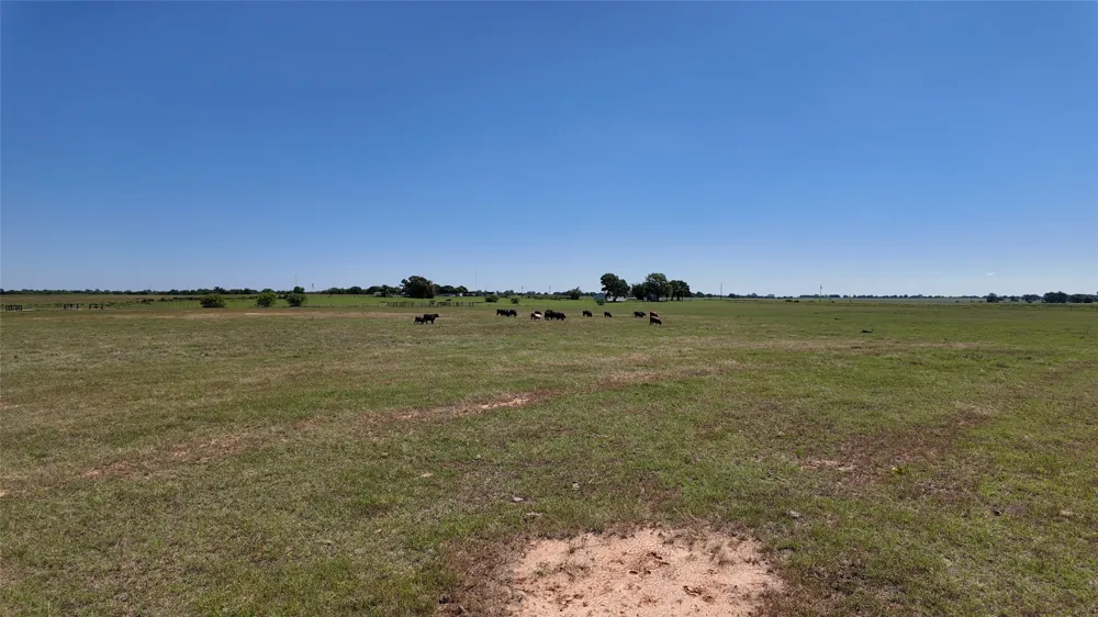 2966 Highway 679 Gorman, TX 76454