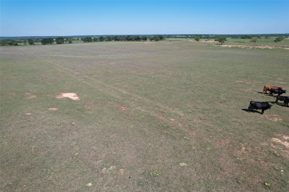 2966 Highway 679 Gorman, TX 76454