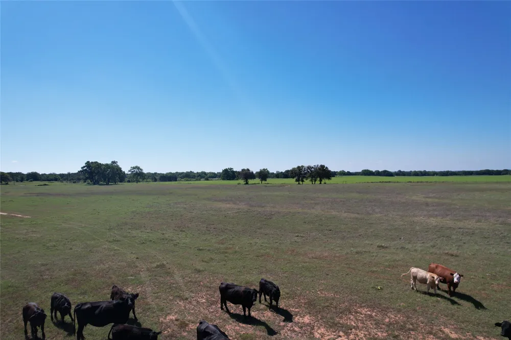 2966 Highway 679 Gorman, TX 76454
