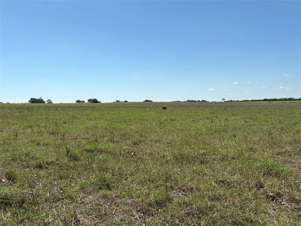 2966 Highway 679 Gorman, TX 76454