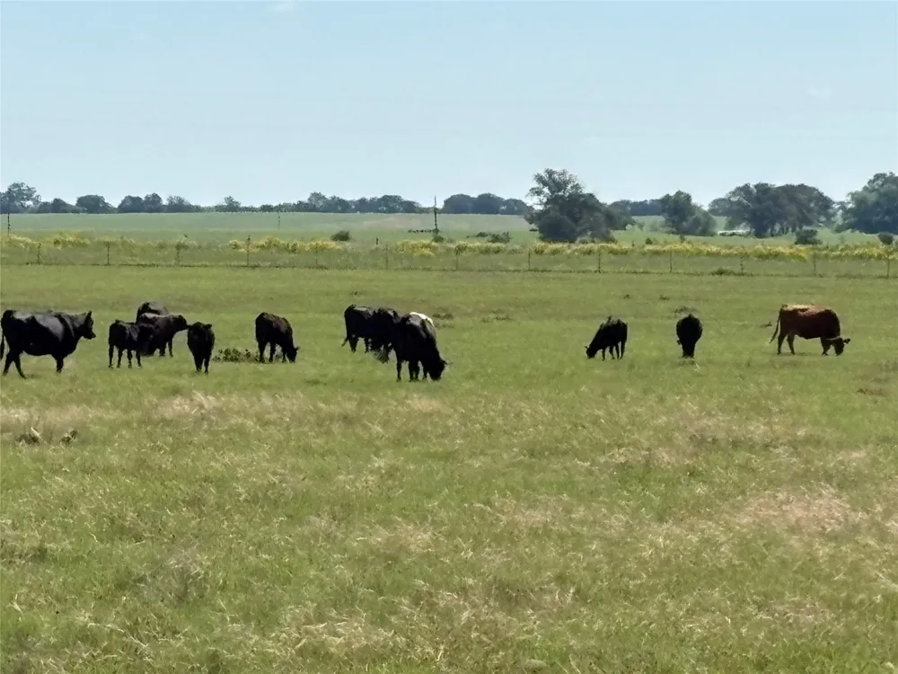 2966 Highway 679 Gorman, TX 76454