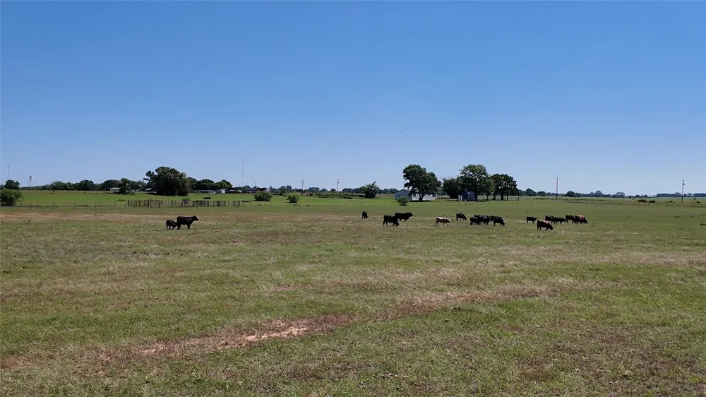 2966 Highway 679 Gorman, TX 76454