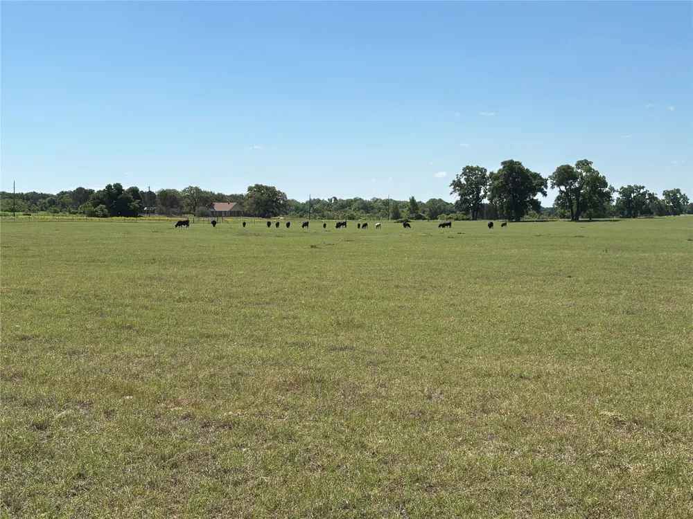 2966 Highway 679 Gorman, TX 76454