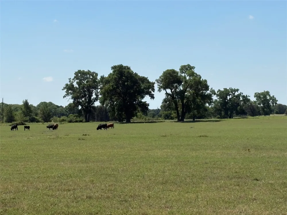 2966 Highway 679 Gorman, TX 76454
