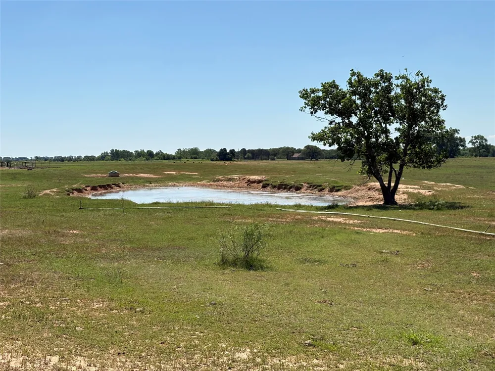 2966 Highway 679 Gorman, TX 76454
