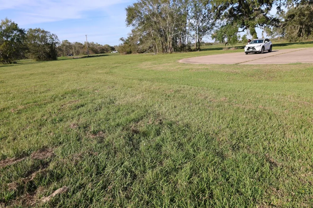 331 Green Pasture Court Angleton, TX 77515