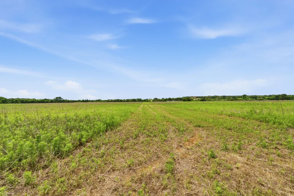 Cr 495 De Leon, TX 76444