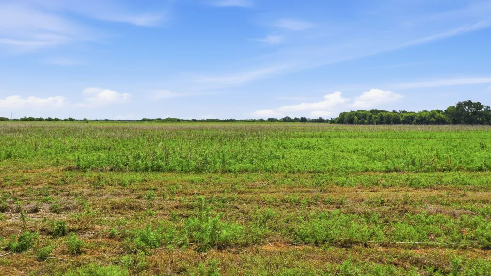 Cr 495 De Leon, TX 76444
