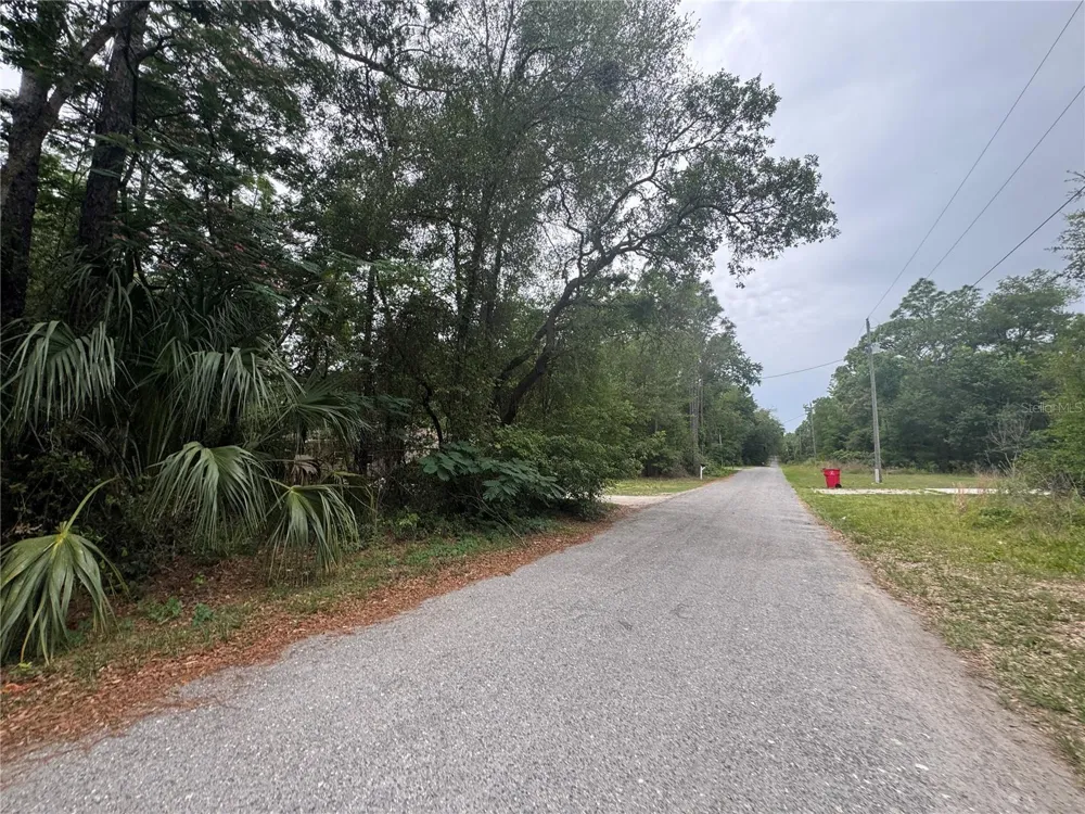 3462 E MICHAEL STREET Inverness, FL 34453