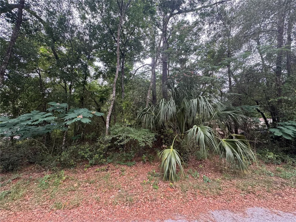 3462 E MICHAEL STREET Inverness, FL 34453