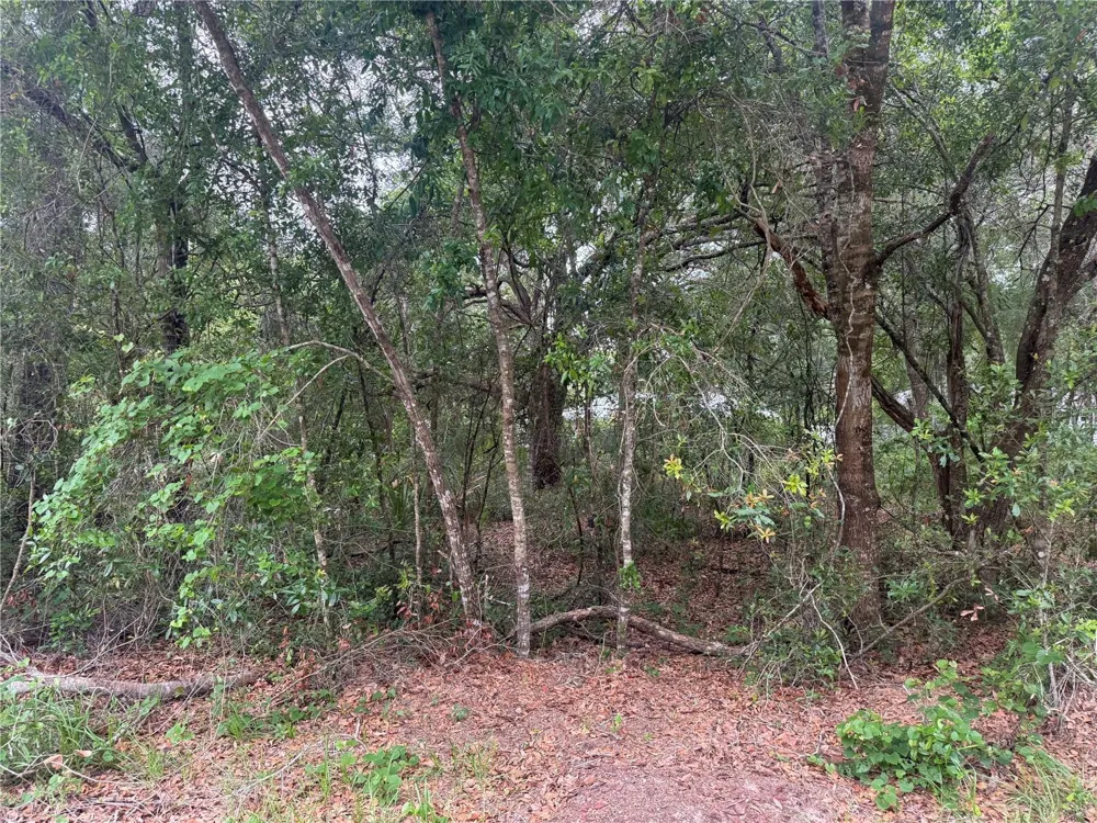3462 E MICHAEL STREET Inverness, FL 34453