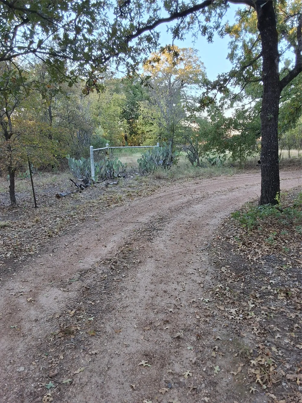 5765 Tokio Road West, TX 76691
