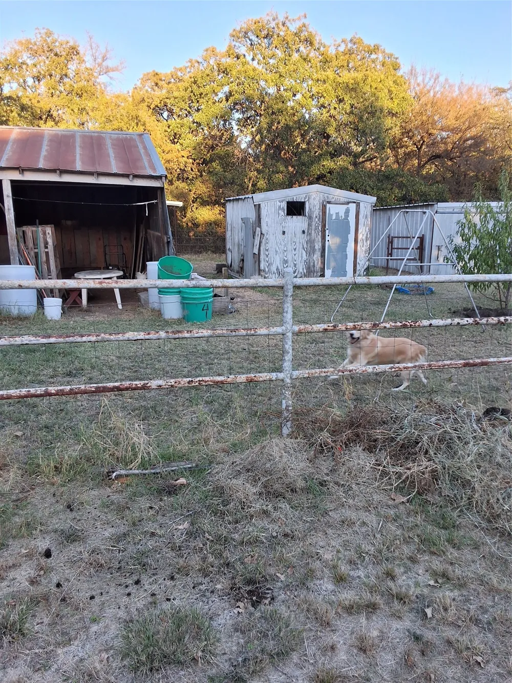 5765 Tokio Road West, TX 76691