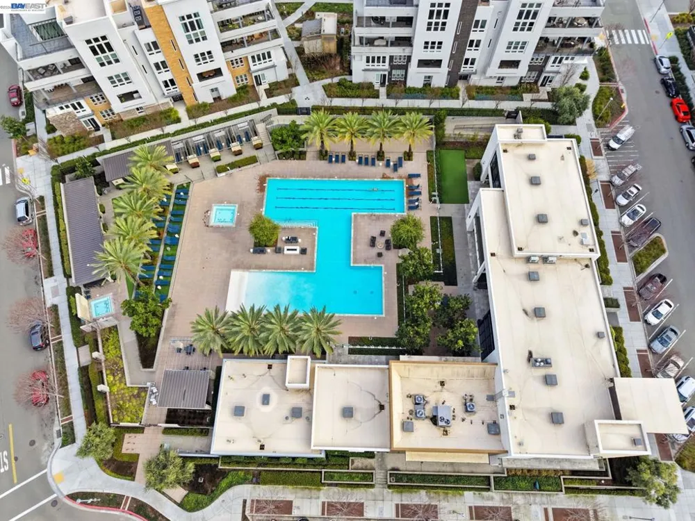 45188 Tom Blalock St #301 Fremont, CA 94539