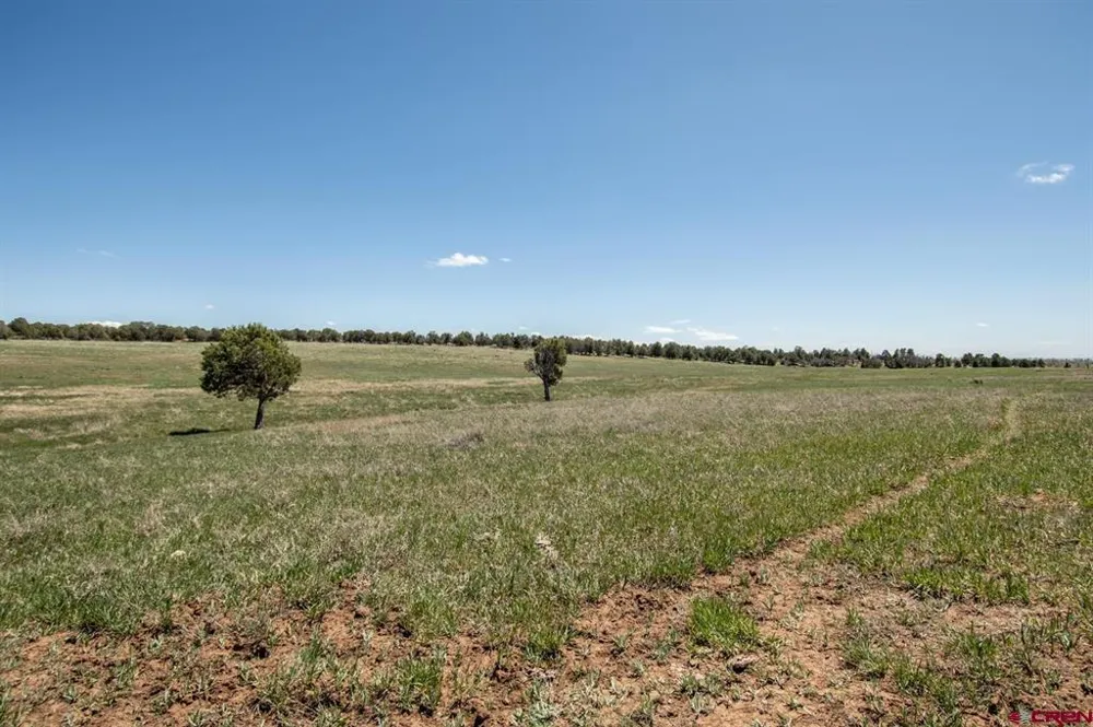 County Road 122A Hesperus, CO 81326