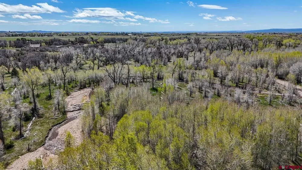 County Road 122A Hesperus, CO 81326
