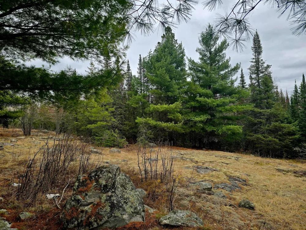 9464 Highway 53 Kabetogama, MN 56669