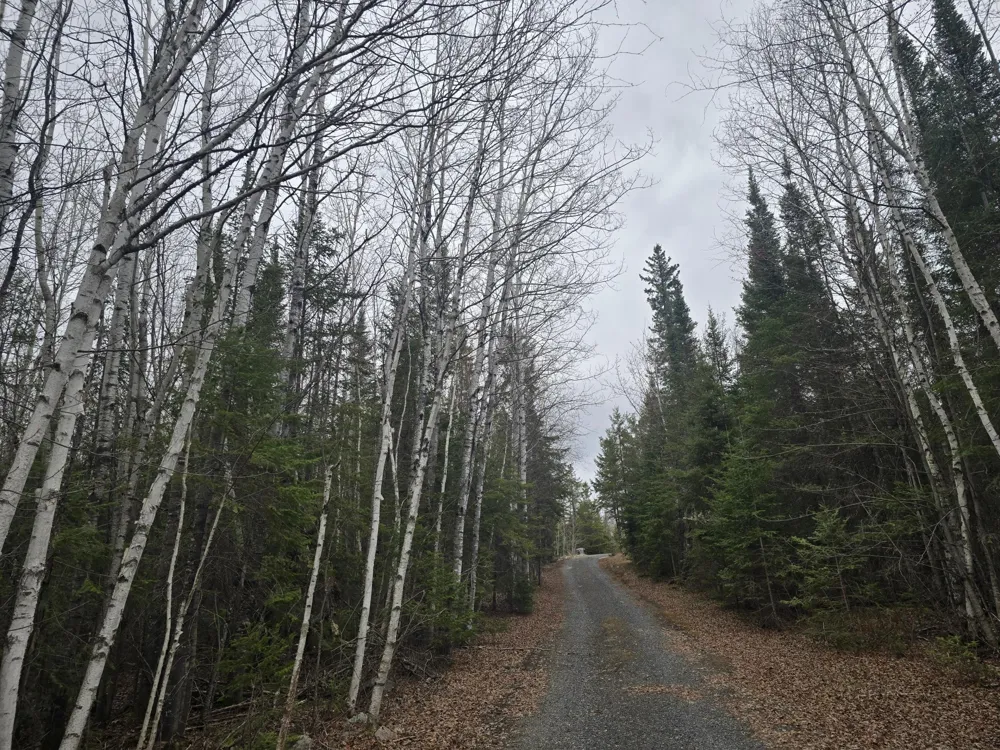 9464 Highway 53 Kabetogama, MN 56669