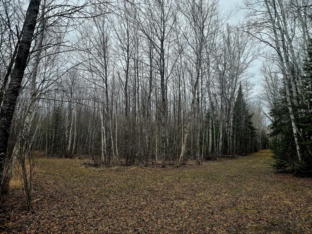9464 Highway 53 Kabetogama, MN 56669