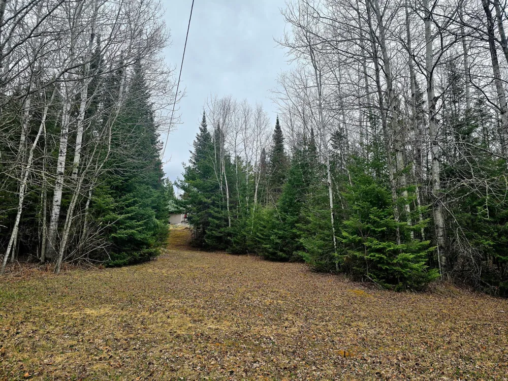9464 Highway 53 Kabetogama, MN 56669