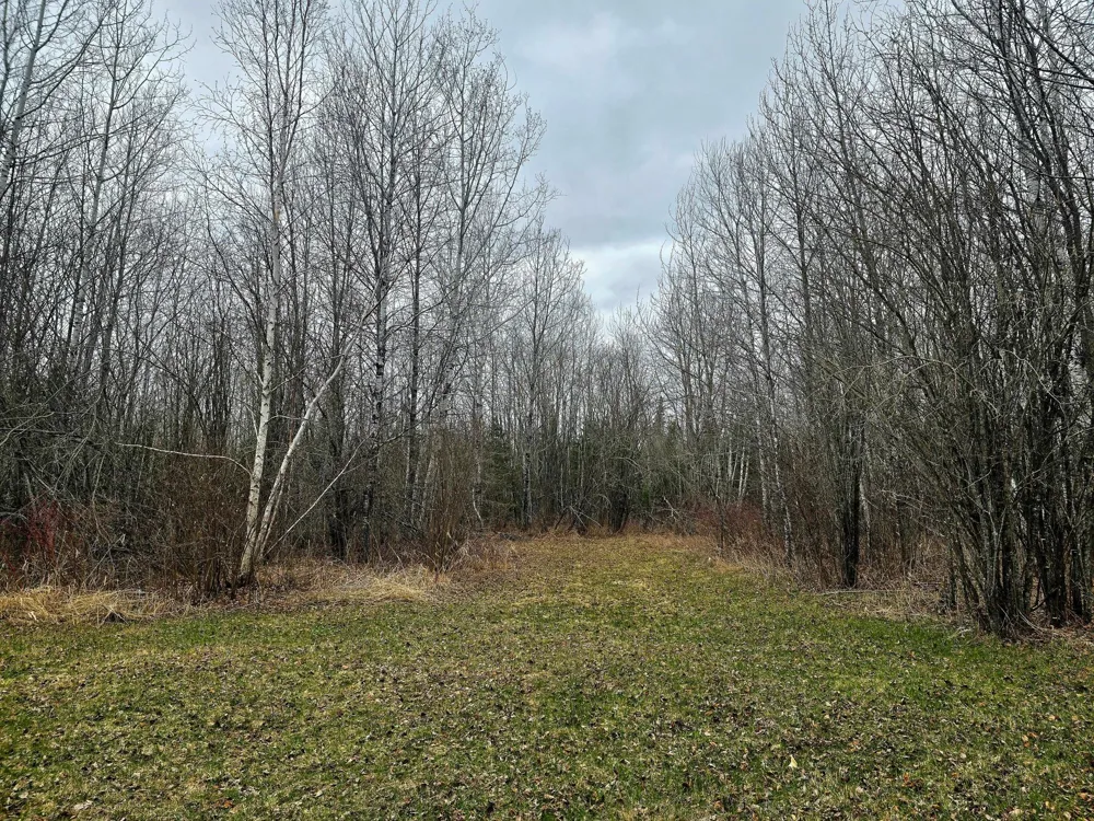9464 Highway 53 Kabetogama, MN 56669