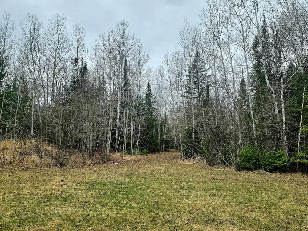 9464 Highway 53 Kabetogama, MN 56669