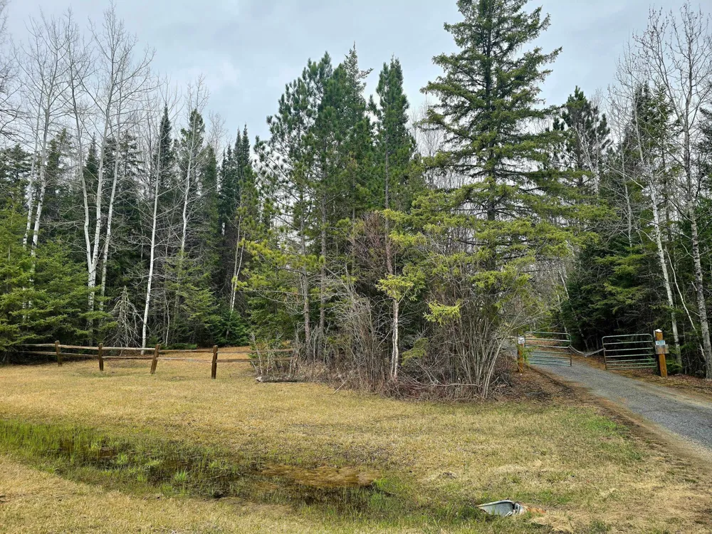 9464 Highway 53 Kabetogama, MN 56669