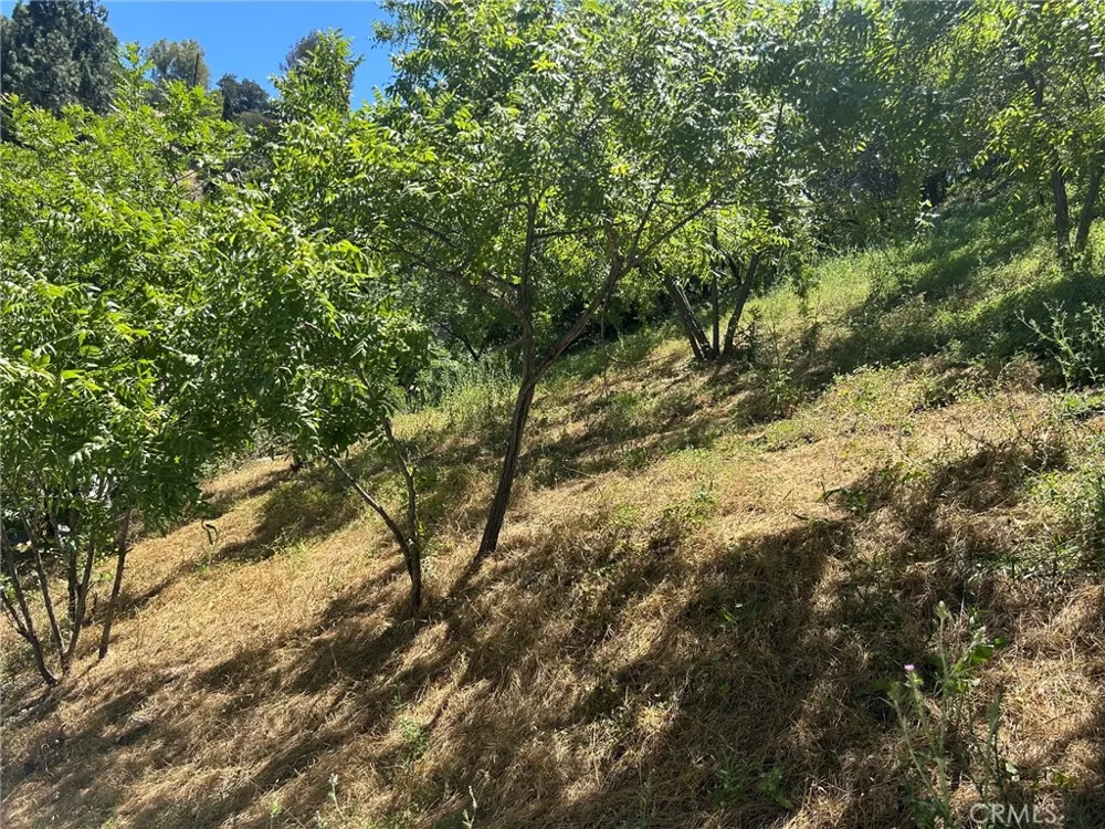 3721 Ventura Canyon Sherman Oaks, CA 91423