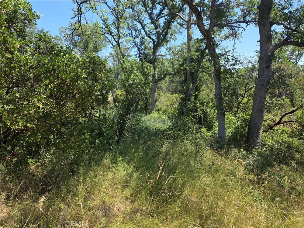17087 LARAMIE Corning, CA 96021