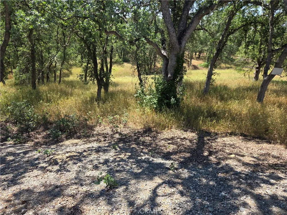 17087 LARAMIE Corning, CA 96021
