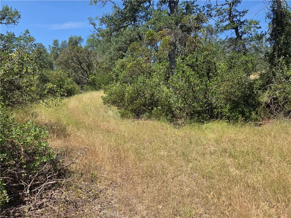 17087 LARAMIE Corning, CA 96021