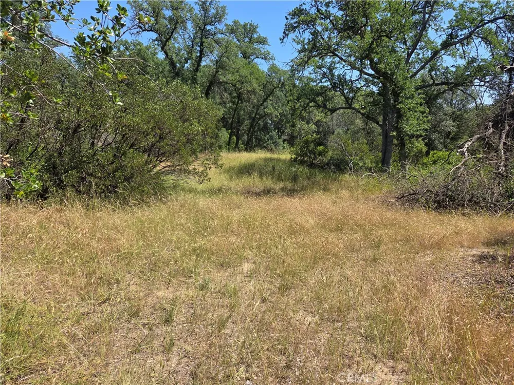 17087 LARAMIE Corning, CA 96021