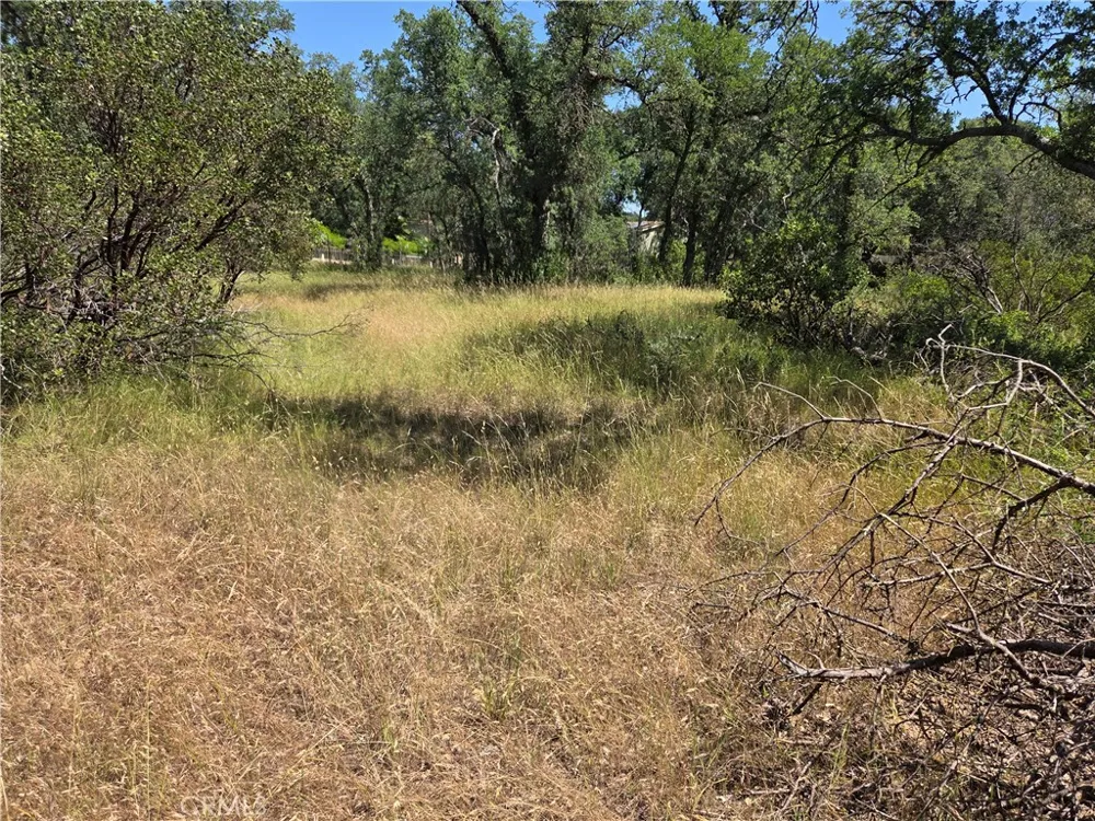 17087 LARAMIE Corning, CA 96021
