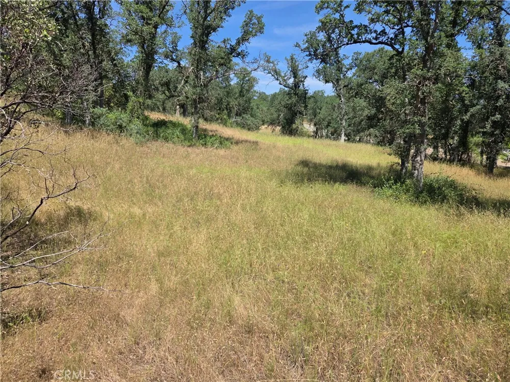 17087 LARAMIE Corning, CA 96021