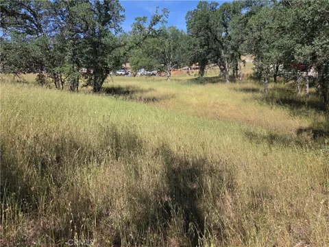 17087 LARAMIE