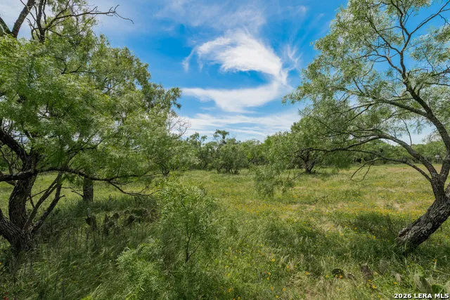 9259 TURKEY BARN LN Menard, TX 76859