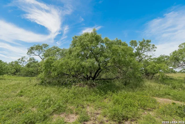 9259 TURKEY BARN LN Menard, TX 76859