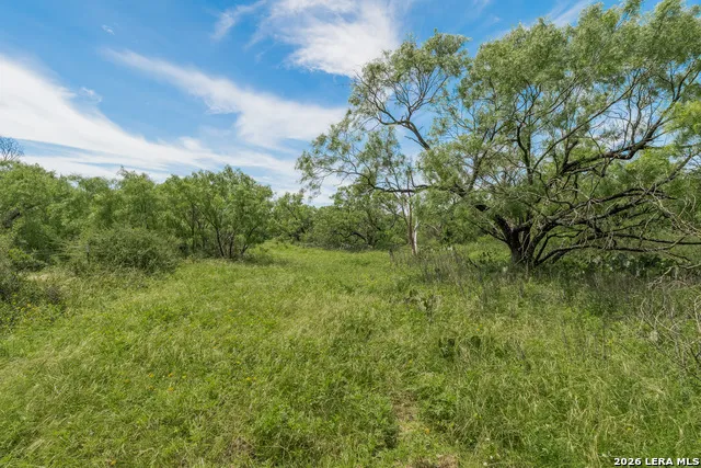 9259 TURKEY BARN LN Menard, TX 76859