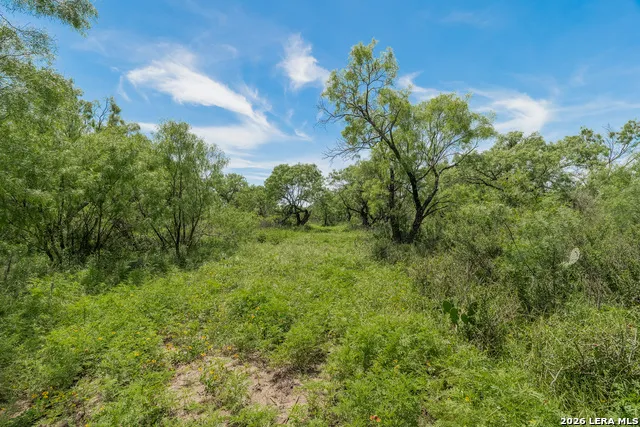 9259 TURKEY BARN LN Menard, TX 76859